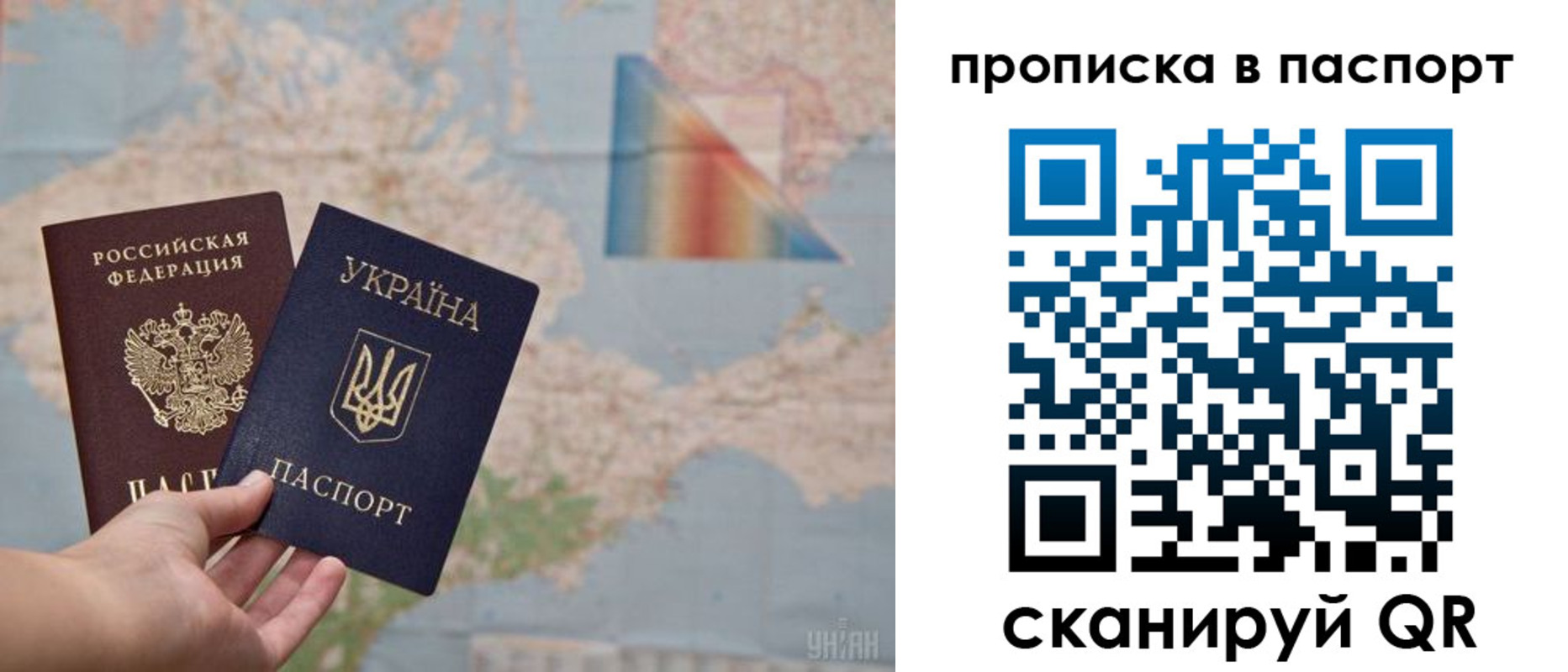 прописка поиск в Сланцах